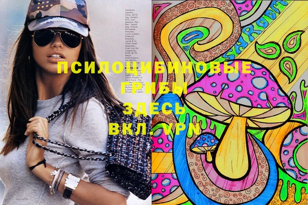 стаф Бронницы