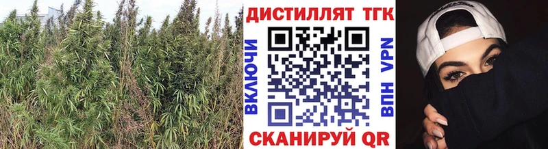 что такое   Нарьян-Мар  Дистиллят ТГК вейп 